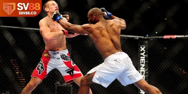 Chia sẻ bí quyết cá cược UFC săn thưởng khủng