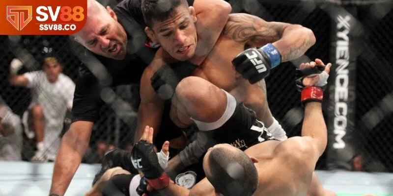 Khám phá các loại hình cá cược UFC nên thử